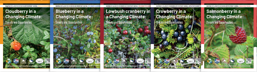 Alaska Berry Futures publications for cloudberries, blueberries, lowbush cranberries, crowberries, and salmonberries