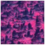 Dead spruce in 2013 satellite image