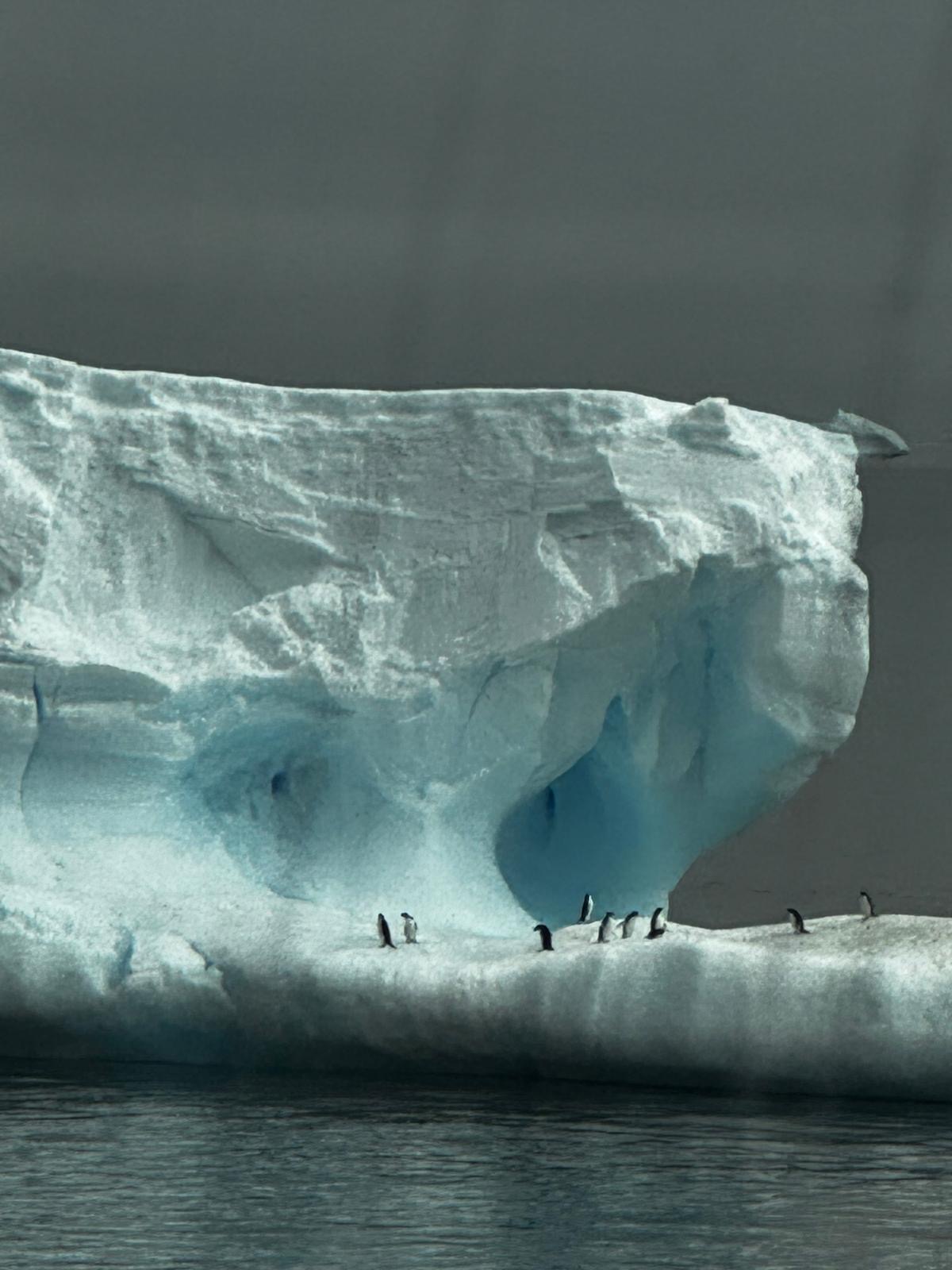 Penguins on an iceberg