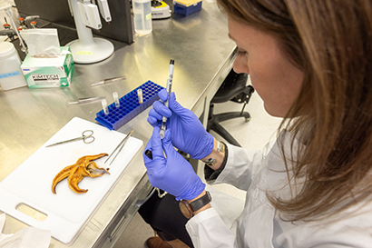 Dr. Jessica Glass labels a vial of samples taken from a starfish during a content refresh lab demonstration for the College of Fisheries and Ocean Sciences Friday, April 26, 2024.