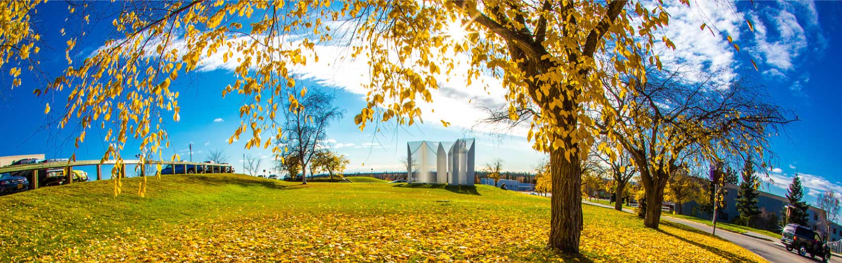Panoramic photo of autumn trees and the Elysian sculpture on the Fairbanks campus