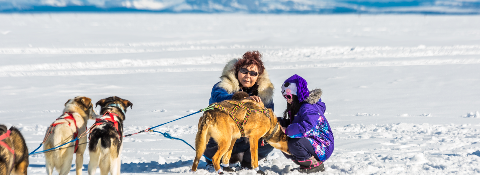 Two people with a team of dogs at the start of the Kobuk 440.