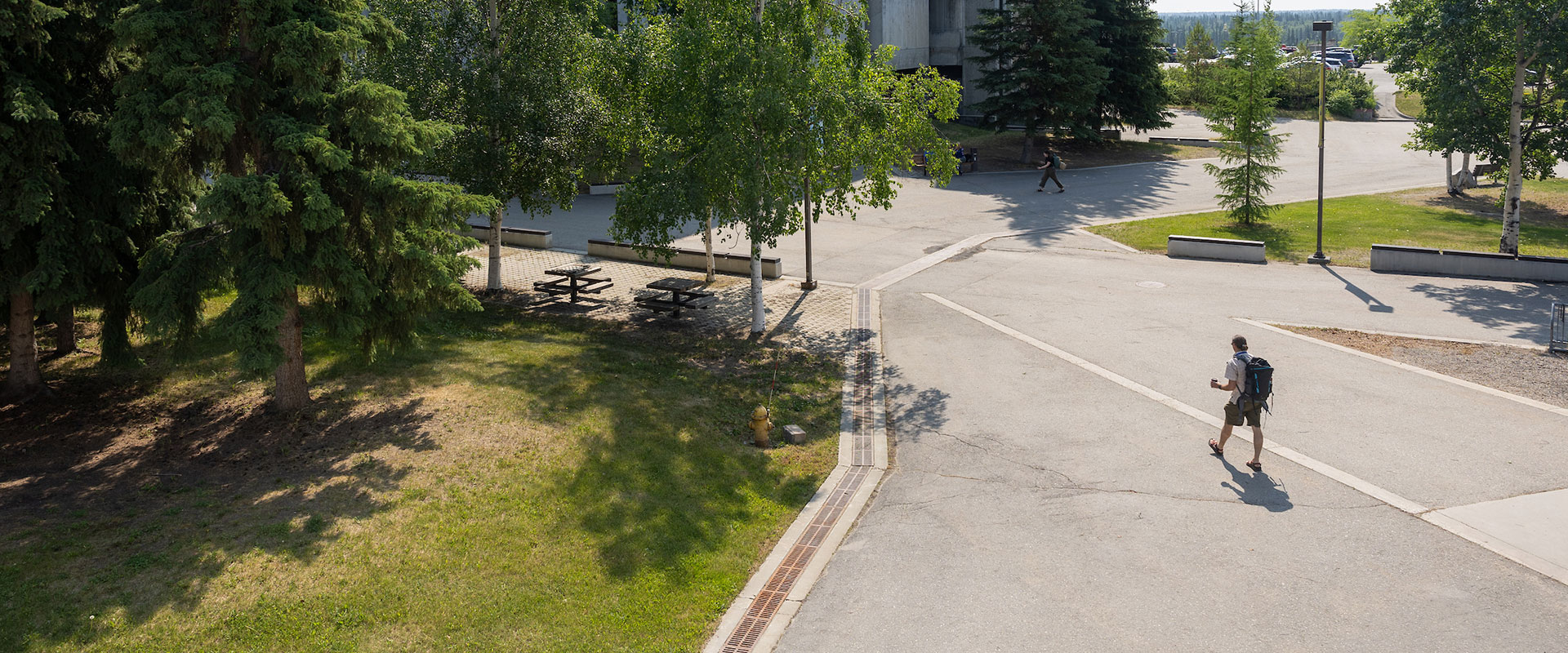 Elementary student learns numbers