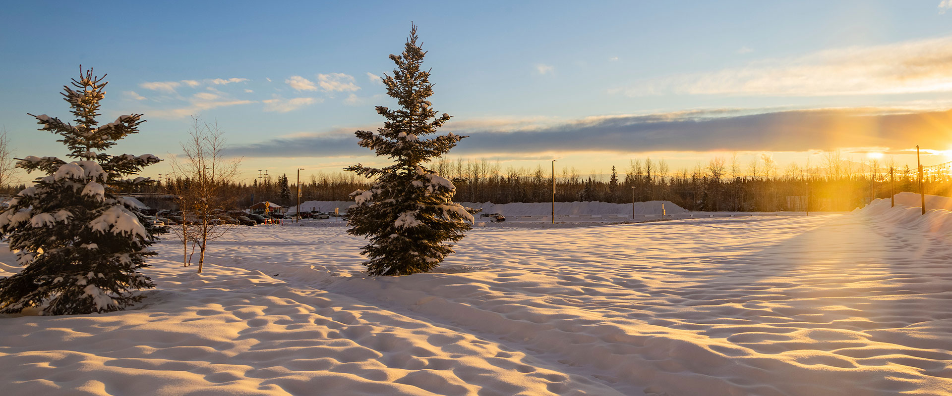 Nook and Students read children books