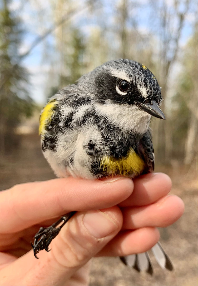 Creamers Field Farmhouse