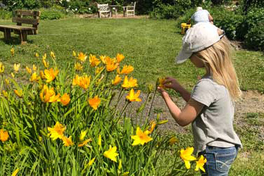 A young girl looks at flowers in the botanical garden