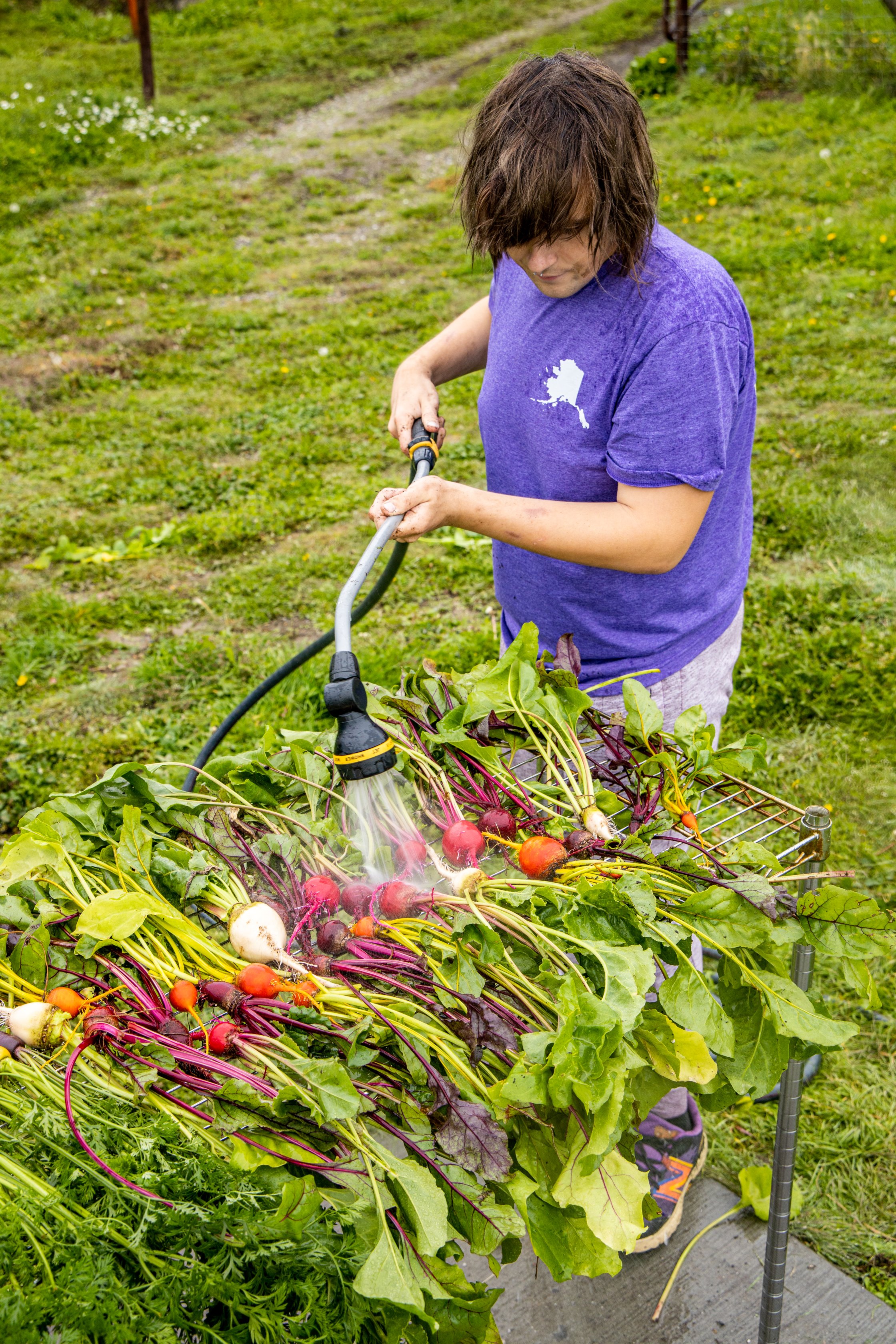 Sustainability student washing beets.