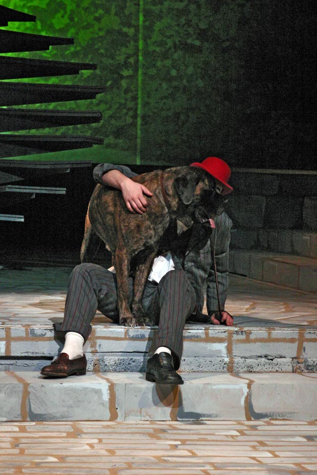 Embracing the bond that knows no bounds: a man and his faithful companion sharing a moment of love on the curb.