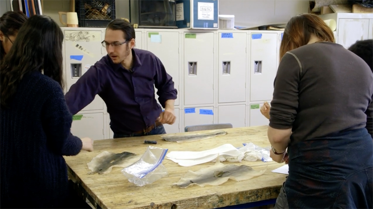 To Continue or Be Remembered Artist Joel Isaak demonstrates the use of fish skins in art. Still from To Continue or Be Remembered