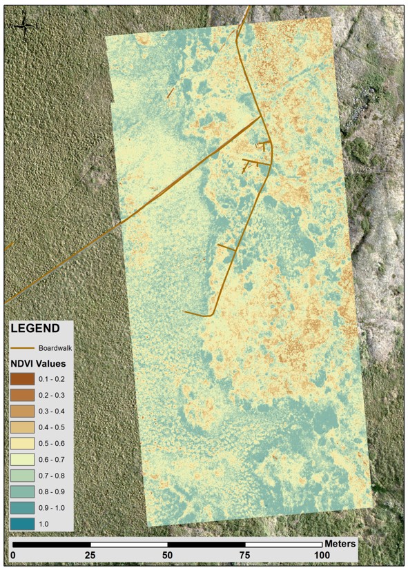 NDVI data from the dry heath south of Toolik Lake