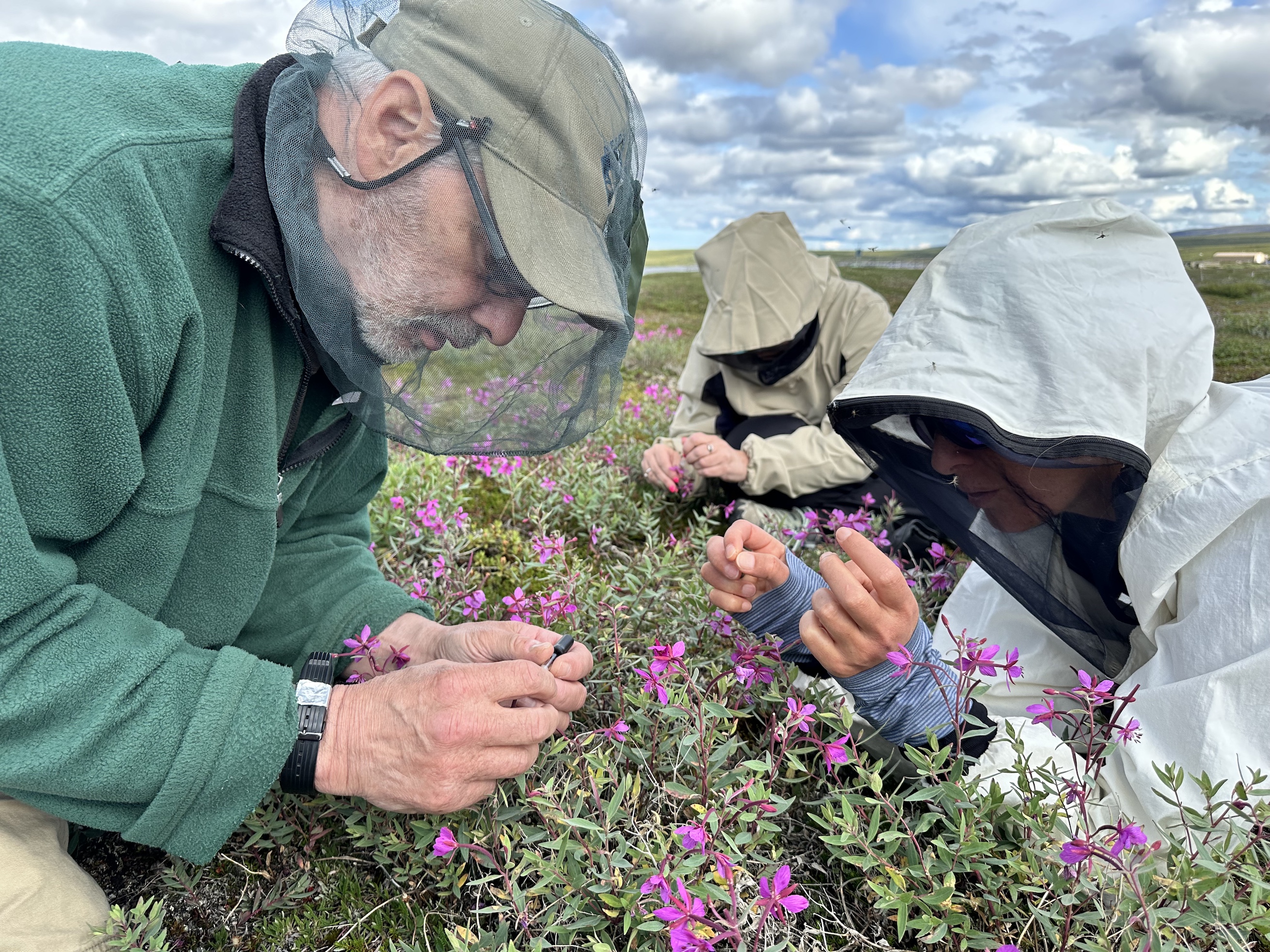 Resources for Educators