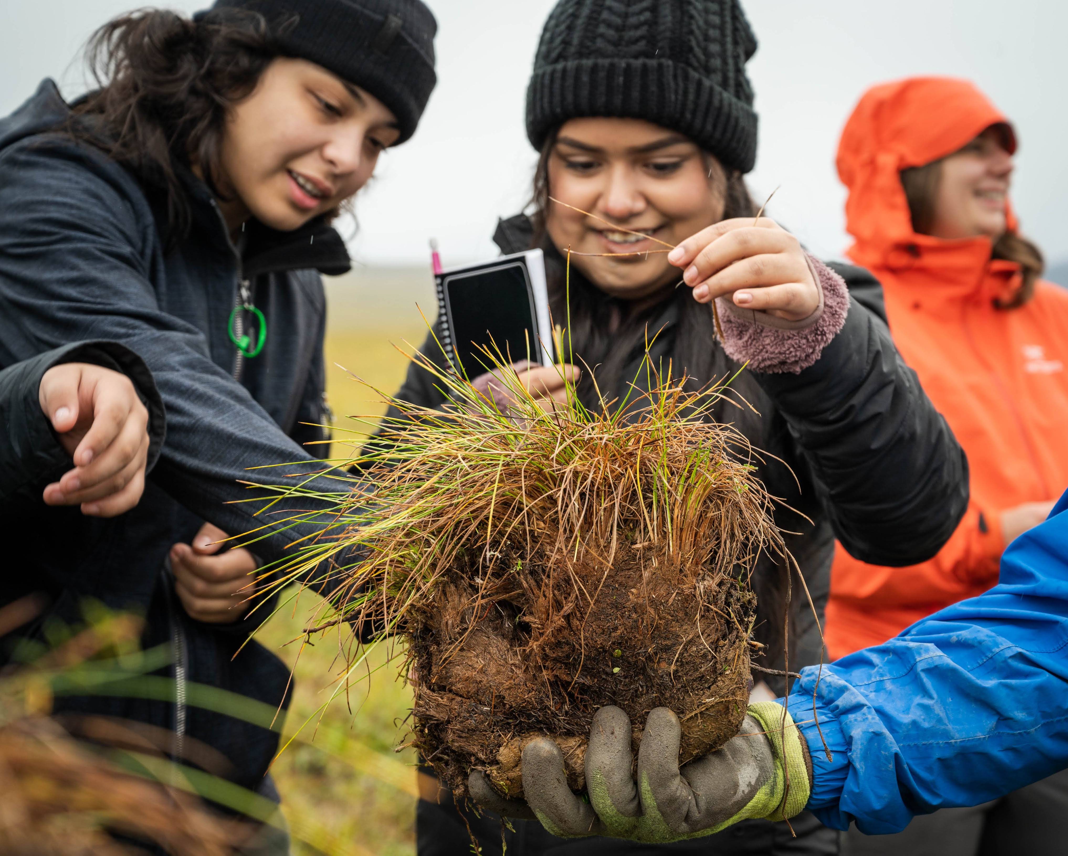 Two students inspect a tussock