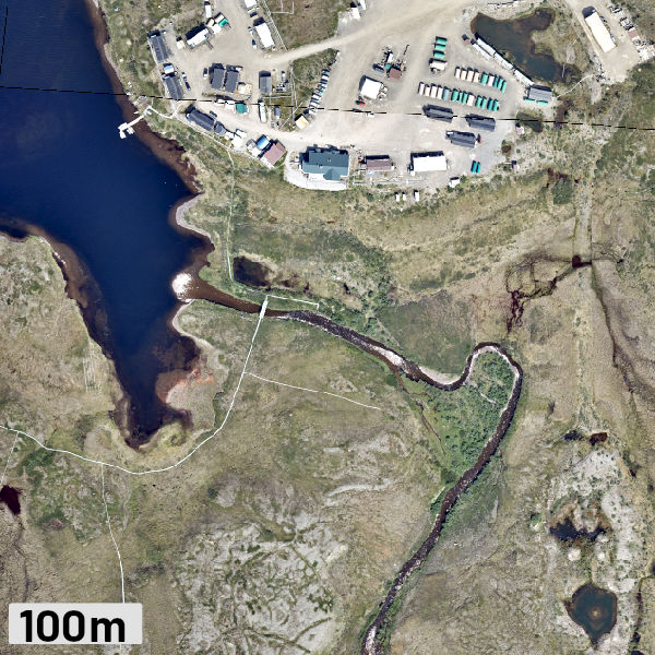 aerial image, courtesy NEON AOP (2019)