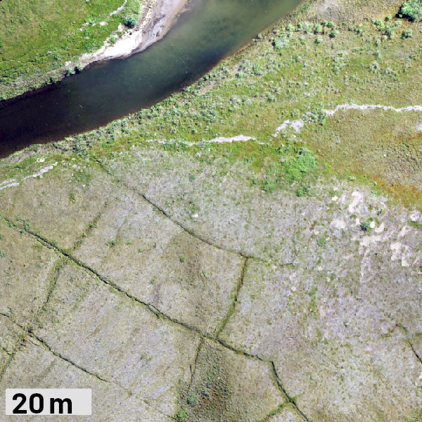 ultra-high resolution image of ice wedge polygons near Galbraith Lake, collected by ToolikGIS with Matrice 210 v2