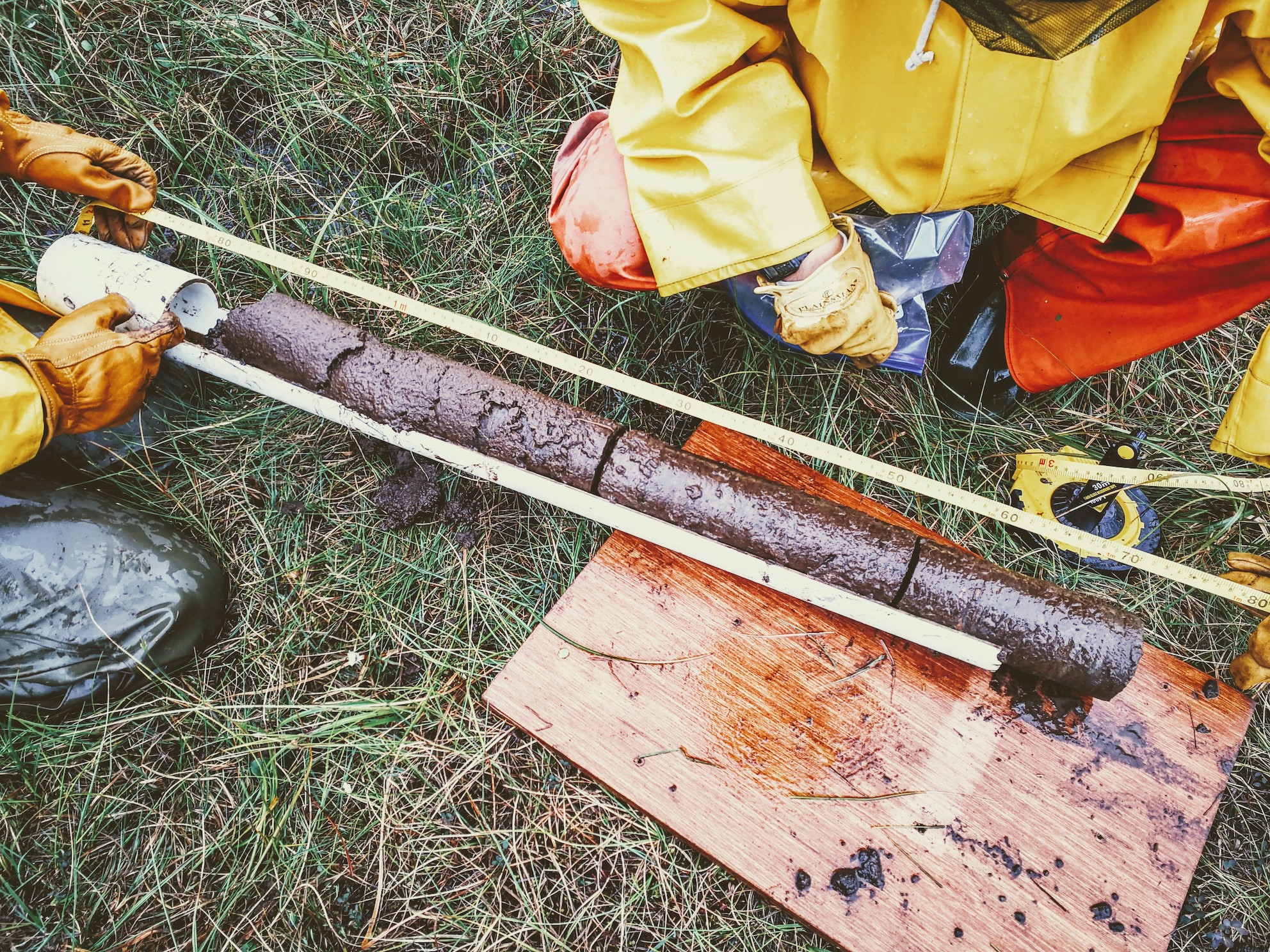 meter long organic soil core laying flat on tundra