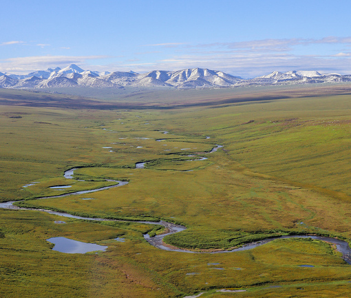 View of a meandering tundra stream from a helicopter