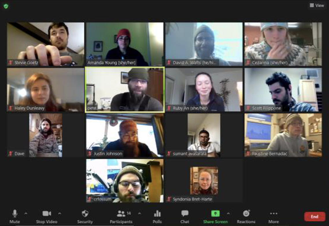 Screenshot of a Zoom call in gallery mode, featuring the faces of some members of the Toolik Field Station Unlearning Racism in the Geosciences pod.