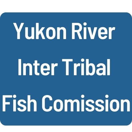 Yukon River Inter Tribal Fish Commission logo