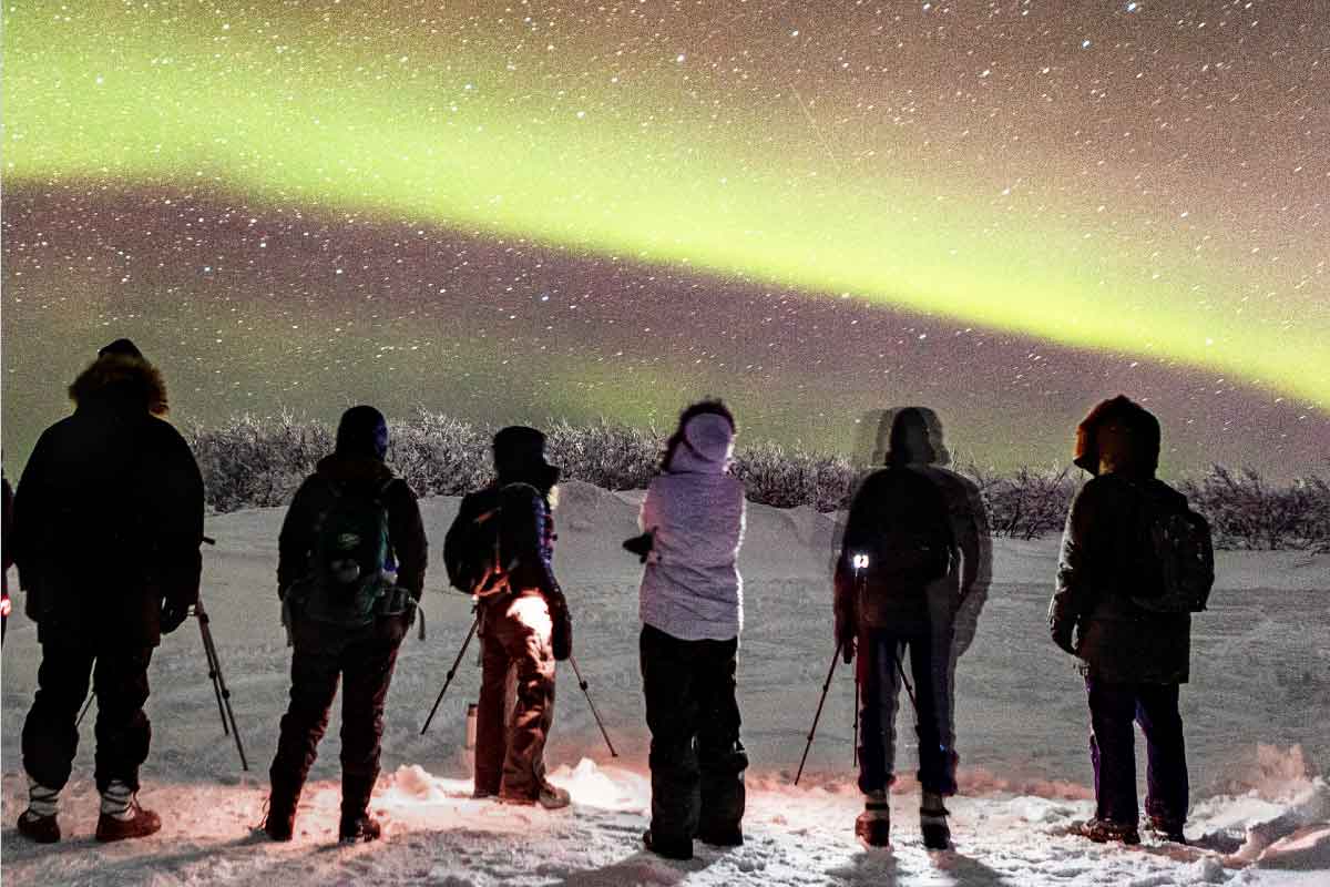 Students in winter gear with camera equipment photograph the aurora on a winter night