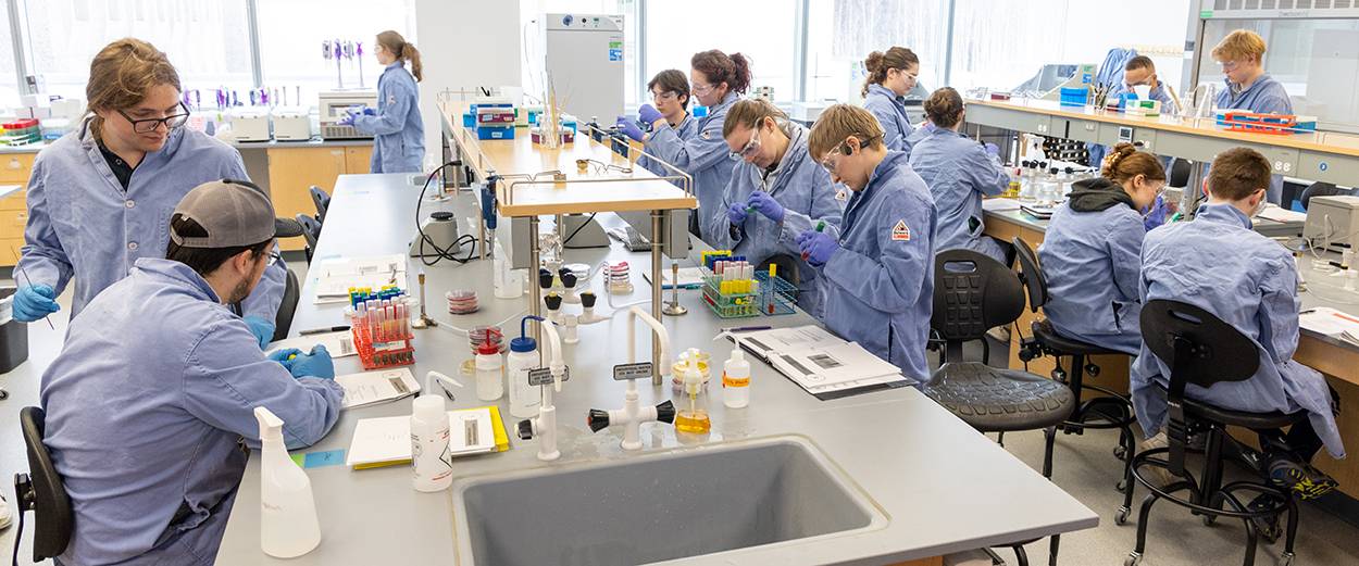 Several UAF students in a lab classroom