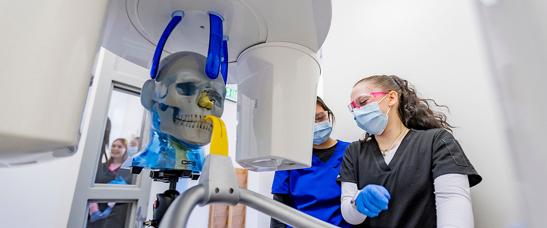 Students of the Dental Assistant program practice an oral x-ray on a mannequin in the dental lab of the UAF Community and Technical College