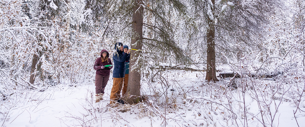 Wildlife Management students measure a tree's circumference during an outdoor lab session.