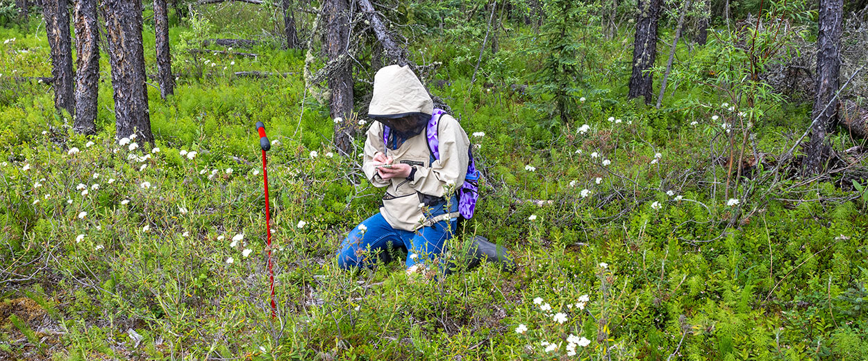 A RAHI student taking notes in a forest as part of an outdoor field research class