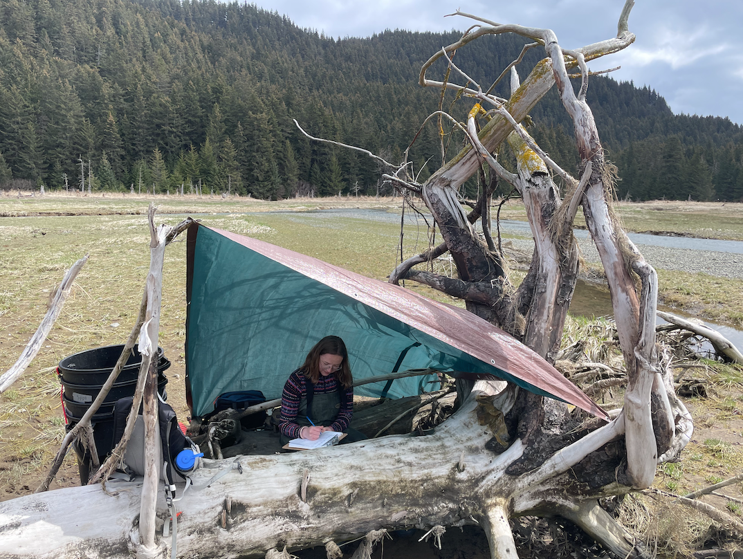 Feyne Elmore, undergraduate researcher, in the field under a tent. 