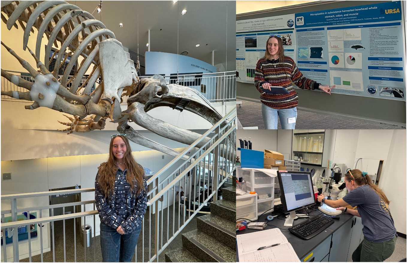 Queenie Turner Project Photo Collage