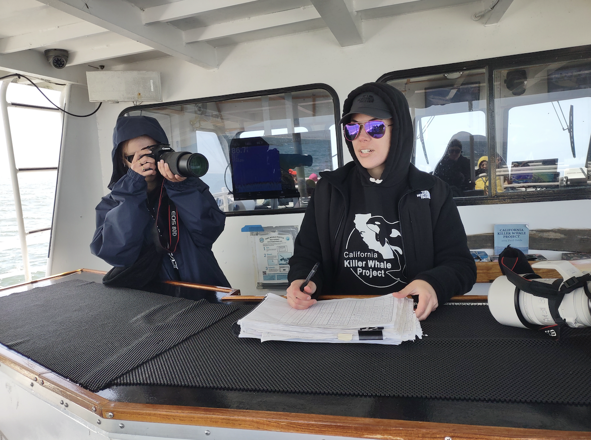 Thompson on whale watch